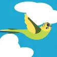 Fly Budgie
