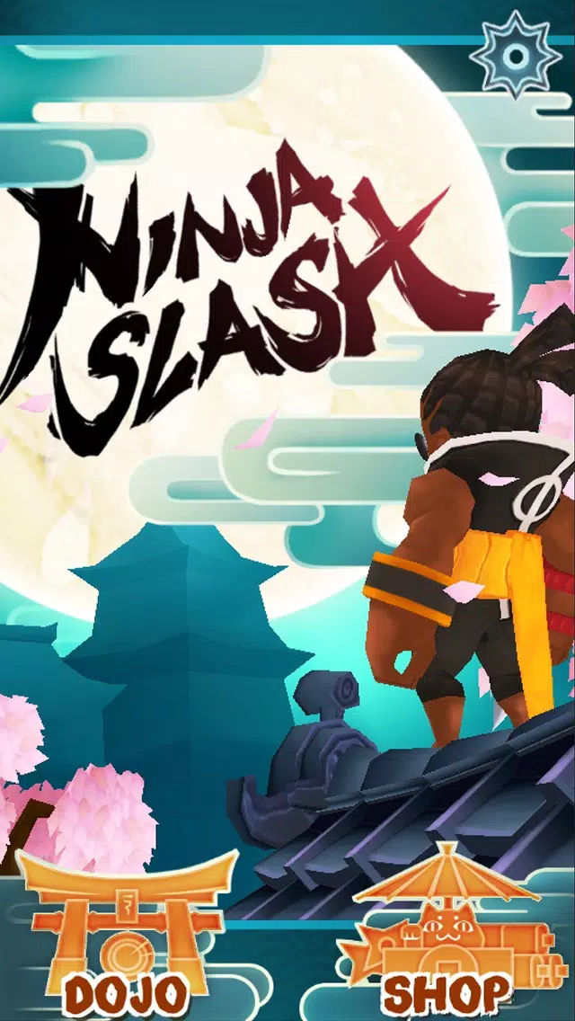 Ninja Slash Ekran Görüntüleri