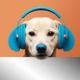 Dog Sounds