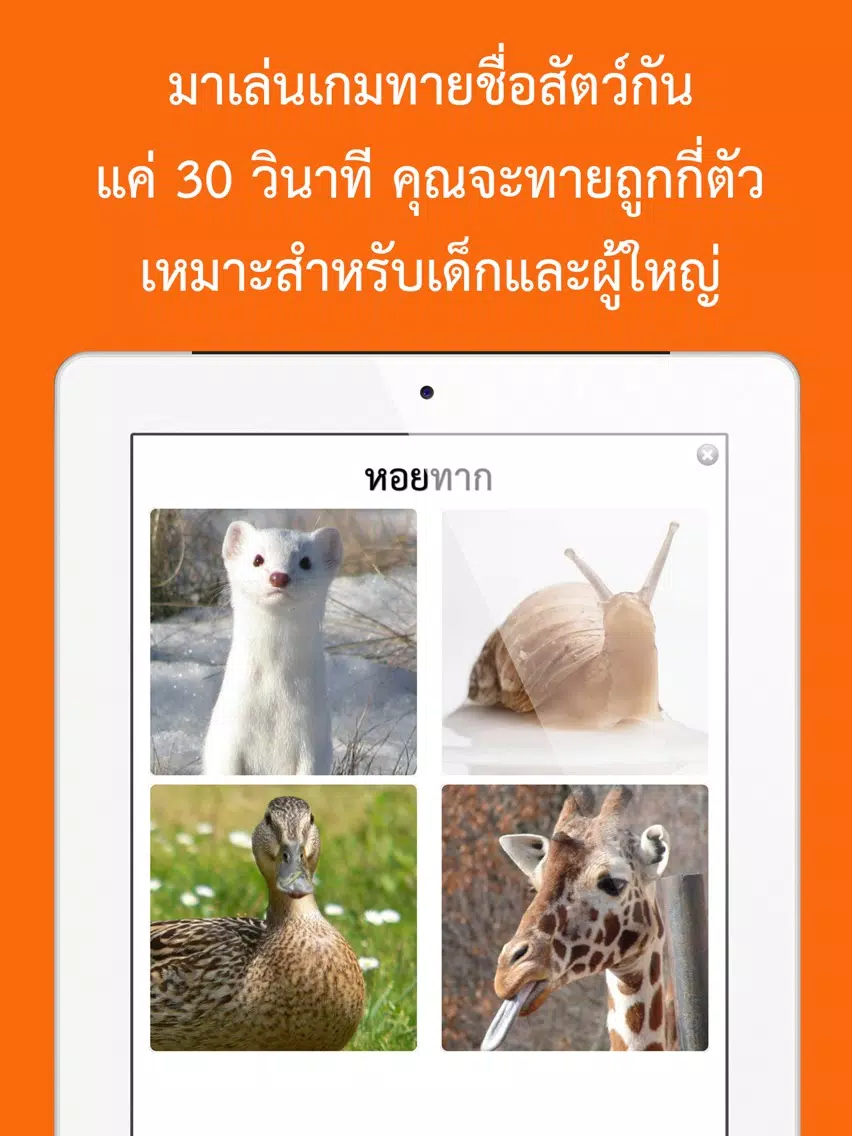 เกมทายชื่อสัตว์ : ใน 30 วินาทีคุณทายได้กี่คำ? iPad Screenshots