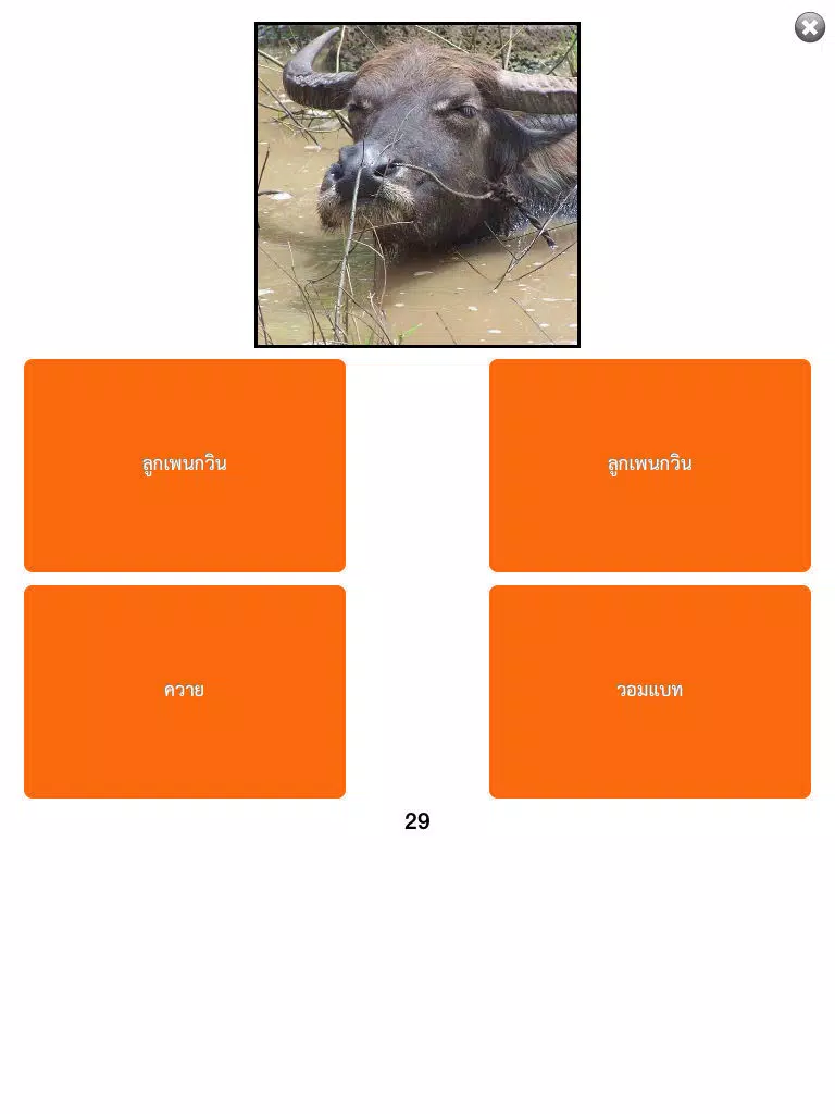 เกมทายชื่อสัตว์ : ใน 30 วินาทีคุณทายได้กี่คำ? iPad Screenshots