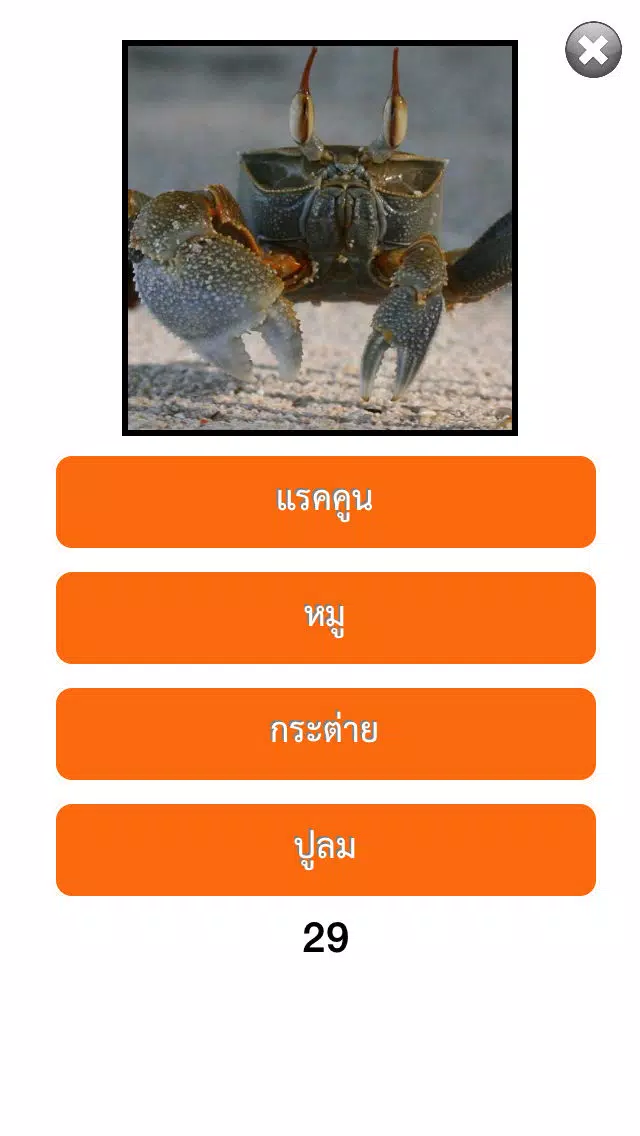 เกมทายชื่อสัตว์ : ใน 30 วินาทีคุณทายได้กี่คำ? Screenshots