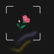 Draw in AR