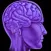 Misophonia Reflex Finder