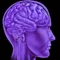 Misophonia Reflex Finder