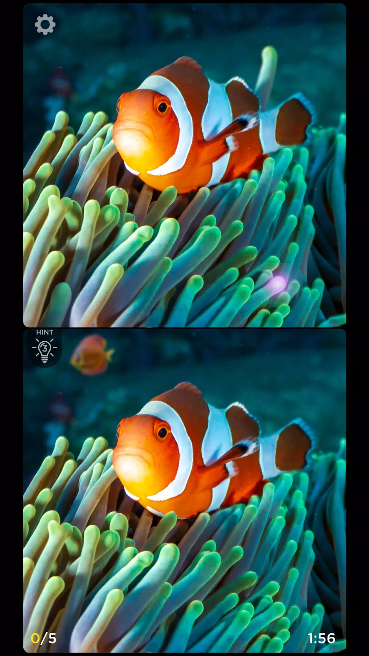 Tangkapan skrin Spot The Difference: Fashion