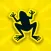 Skipping Frog