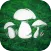 Real Mushroom Hunting Simulato
