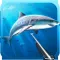 Hunter underwater spearfishing