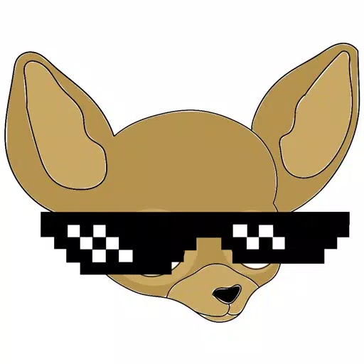 Chico Chihuahua