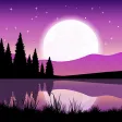 Nature Sounds Nature Sounds
