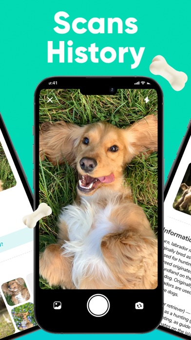Dog Scanner - Breed Identifier Screenshots