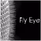 Fly Eye
