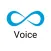 Ameyo Voice Agent