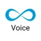 Ameyo Voice Agent