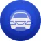 Driving Sense