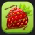 Drizzle Me Skinny - WW Recipes