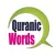 The Quranic Words