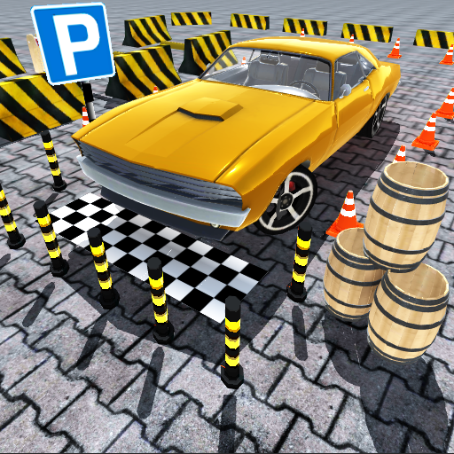Special Car Parking