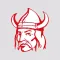 Viking Nation