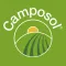 Camposol EasyWeb