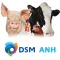 DSM ANH Product Support 2.0