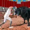 Wild Bull Attack Simulator