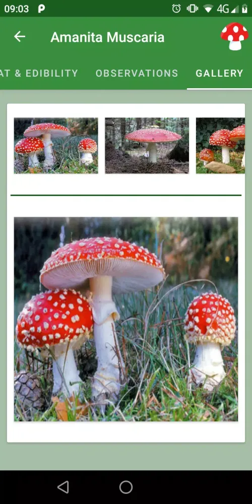 Mushrooms Guide Screenshots
