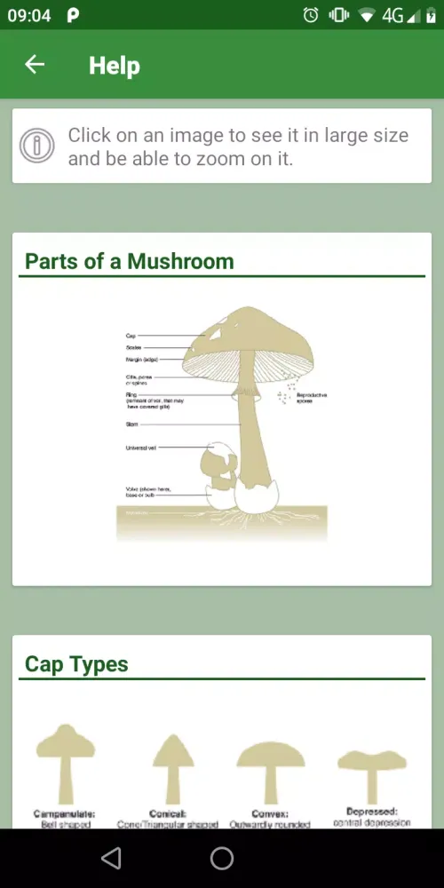 Mushrooms Guide Screenshots