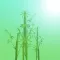 BamBoo English