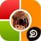 iPic Quilt - Photo Collage App