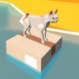 bouncing catz
