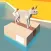 bouncing catz