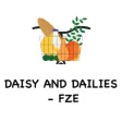 Daisy and Dailies - FZE