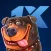 1xqet: bet house game