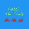 Catch The Fruit Pro