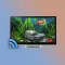 Goldfish Aquarium on TV
