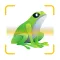 Frog Identifier Reptile ID