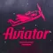 Aviator Crash Survivor