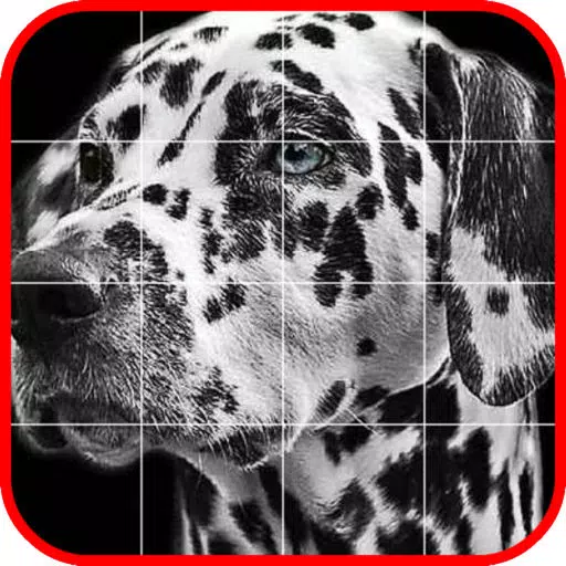 Picross Album - Nonogram Picross Album - Nonogram