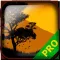 PRO - Dust An Elysian Tail Game Version Guide