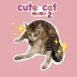 Cute Cat Meme 2