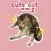 Cute Cat Meme 2