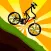 Crazy Mountain Bike