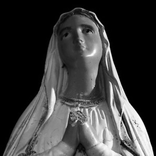 Pray The Rosary: The Broken Mary Project Pray The Rosary: The Broken Mary Project