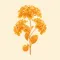 Lantana in Residence