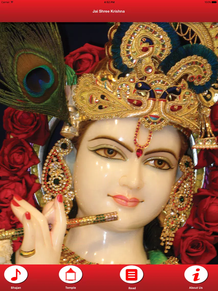 Shri Krishna App iPad Screenshots