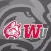 Indiana Wesleyan Wildcats
