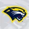 Spring Arbor University Cougar Athletics