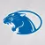 York College Athletics